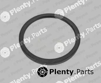Payen NA5463 — Shaft Seal, crankshaft