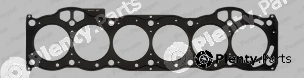 Payen AG9990 — Gasket, cylinder head