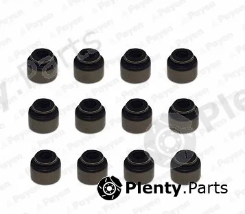 Payen HR5135 — Seal Set, valve stem