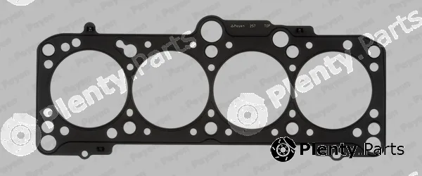 Payen BZ910 — Gasket, cylinder head