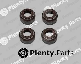 Payen HR5085 — Seal Set, valve stem