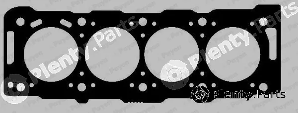 Payen AC5052 — Gasket, cylinder head