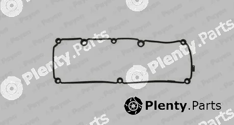 Payen JM7200 — Gasket, cylinder head cover