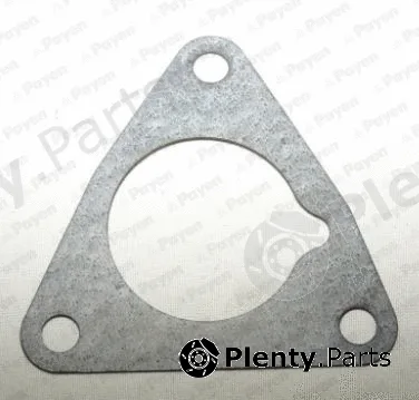 Payen LT498 — Gasket, timing case cover