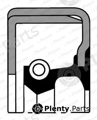 Payen NK139 — Shaft Seal, crankshaft