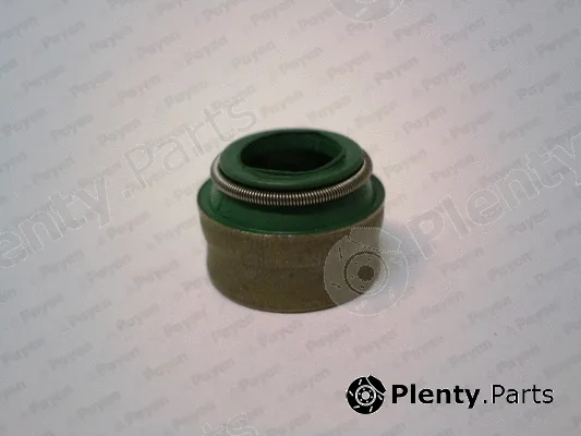 Payen PB394 — Seal Ring, valve stem