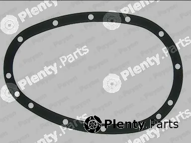 Payen JR147 — Gasket, timing case