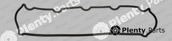 Payen JM5089 — Gasket, cylinder head cover