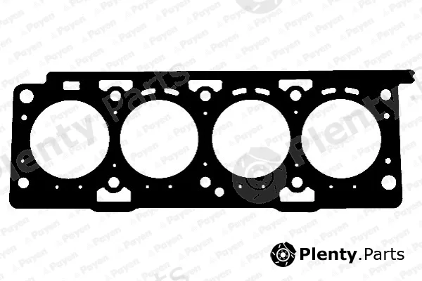 Payen AB5150 — Gasket, cylinder head