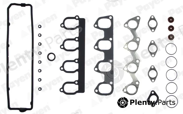 Payen DT193 — Gasket Kit, cylinder head