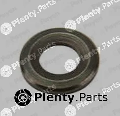 Payen PA817 — Heat Shield, injection system