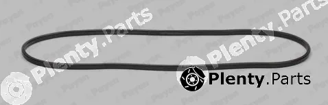 Payen JN504 — Gasket, cylinder head cover