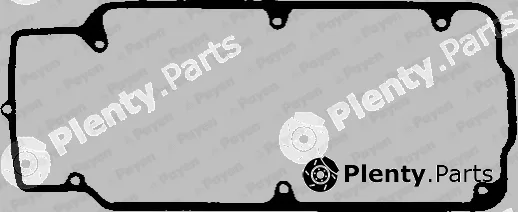 Payen JN299 — Gasket, cylinder head cover