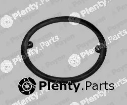 Payen KK5731 — Seal Ring, oil cooler