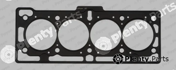 Payen AH5170 — Gasket, cylinder head