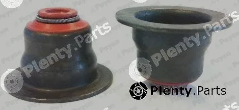 Payen HR5119 — Seal Set, valve stem