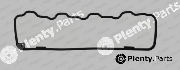 Payen JM7095 — Gasket, cylinder head cover