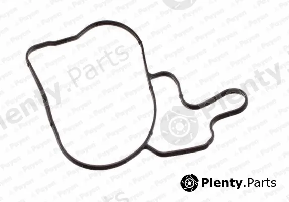 Payen KA5035 — Gasket, water pump