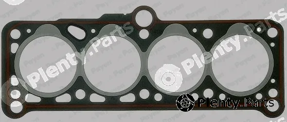 Payen BT020 — Gasket, cylinder head