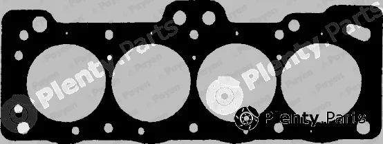 Payen BL740 — Gasket, cylinder head