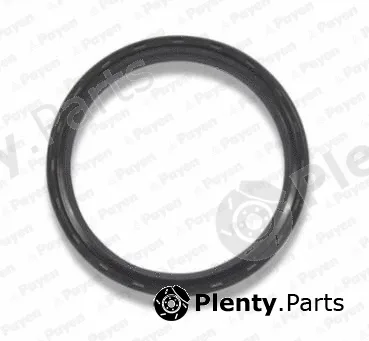 Payen NA5298 — Shaft Seal, crankshaft