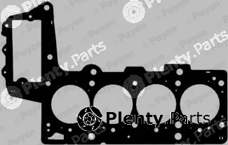 Payen BZ700 — Gasket, cylinder head