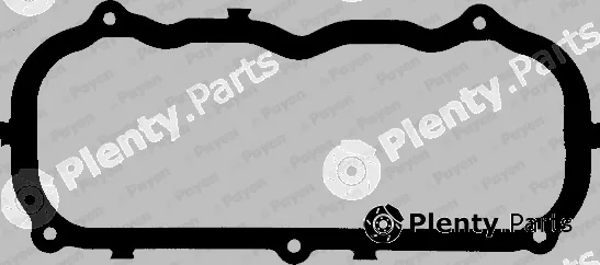 Payen JM873 — Gasket, cylinder head cover