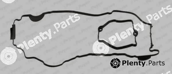 Payen HM5368 — Gasket Set, cylinder head cover