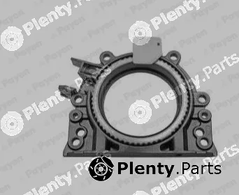 Payen LK5019 — Shaft Seal, crankshaft