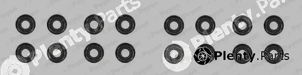 Payen HR791 — Seal Set, valve stem