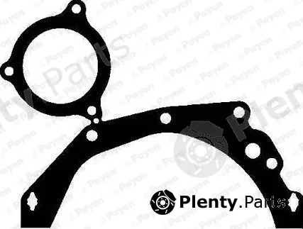 Payen KA5021 — Gasket, water pump