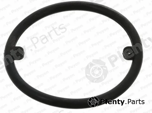 Payen KK5686 — Seal Ring, oil cooler