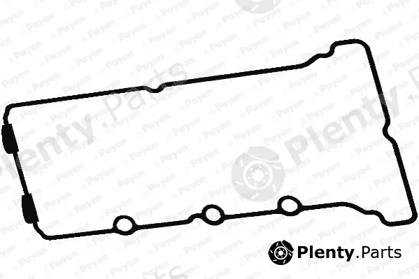 Payen JM5312 — Gasket, cylinder head cover