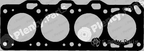 Payen BL560 — Gasket, cylinder head