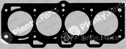 Payen AY480 — Gasket, cylinder head