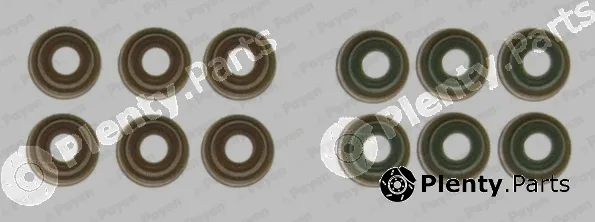Payen HR5131 — Seal Set, valve stem