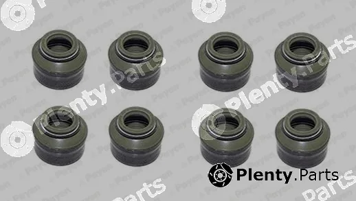 Payen HR602 — Seal Set, valve stem