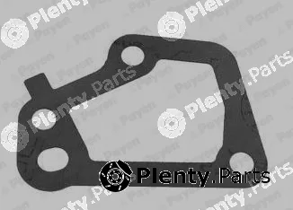 Payen KK5735 — Seal, thermostat