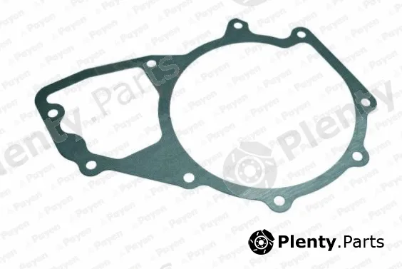 Payen KA5038 — Gasket, water pump
