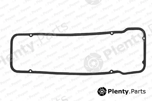 Payen JM005 — Gasket, cylinder head cover