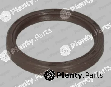 Payen NA5310 — Shaft Seal, camshaft