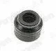 Payen PA5025 — Seal Ring, valve stem