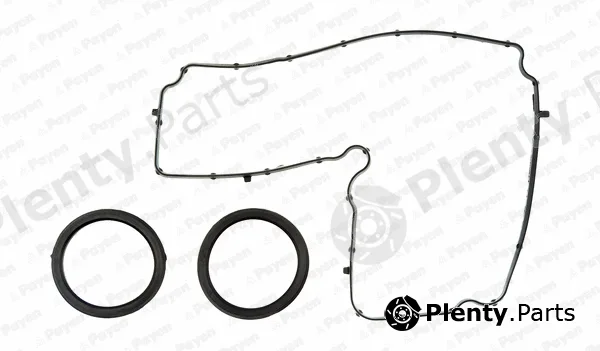 Payen HM5369 — Gasket Set, cylinder head cover