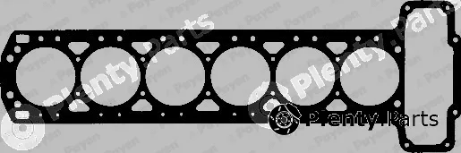 Payen BJ020 — Gasket, cylinder head