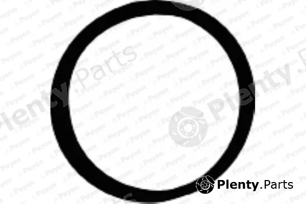 Payen JD5107 — Gasket, intake manifold housing