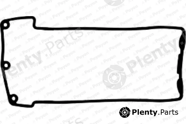 Payen JM5097 — Gasket, cylinder head cover
