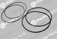 Payen HL5378 — O-Ring Set, cylinder sleeve
