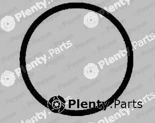 Payen JD5271 — Gasket, exhaust manifold