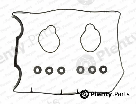 Payen HM5234 — Gasket Set, cylinder head cover