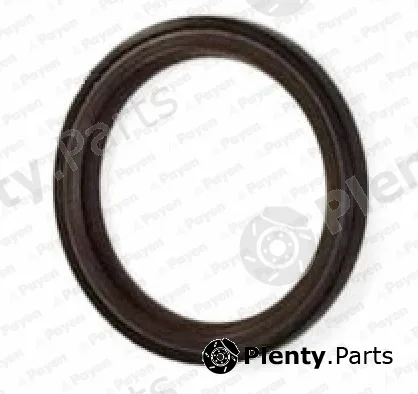 Payen NA5317 — Shaft Seal, camshaft